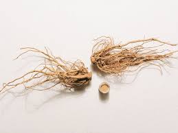 Holy Basil Root